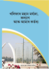 Image-3